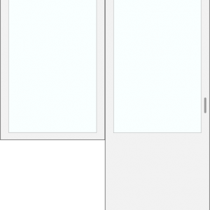 Door with left window